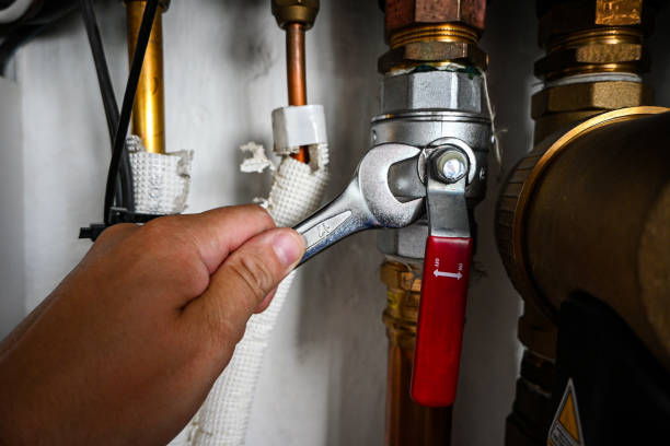 Best Residential Plumbing Services  in Lantana, FL